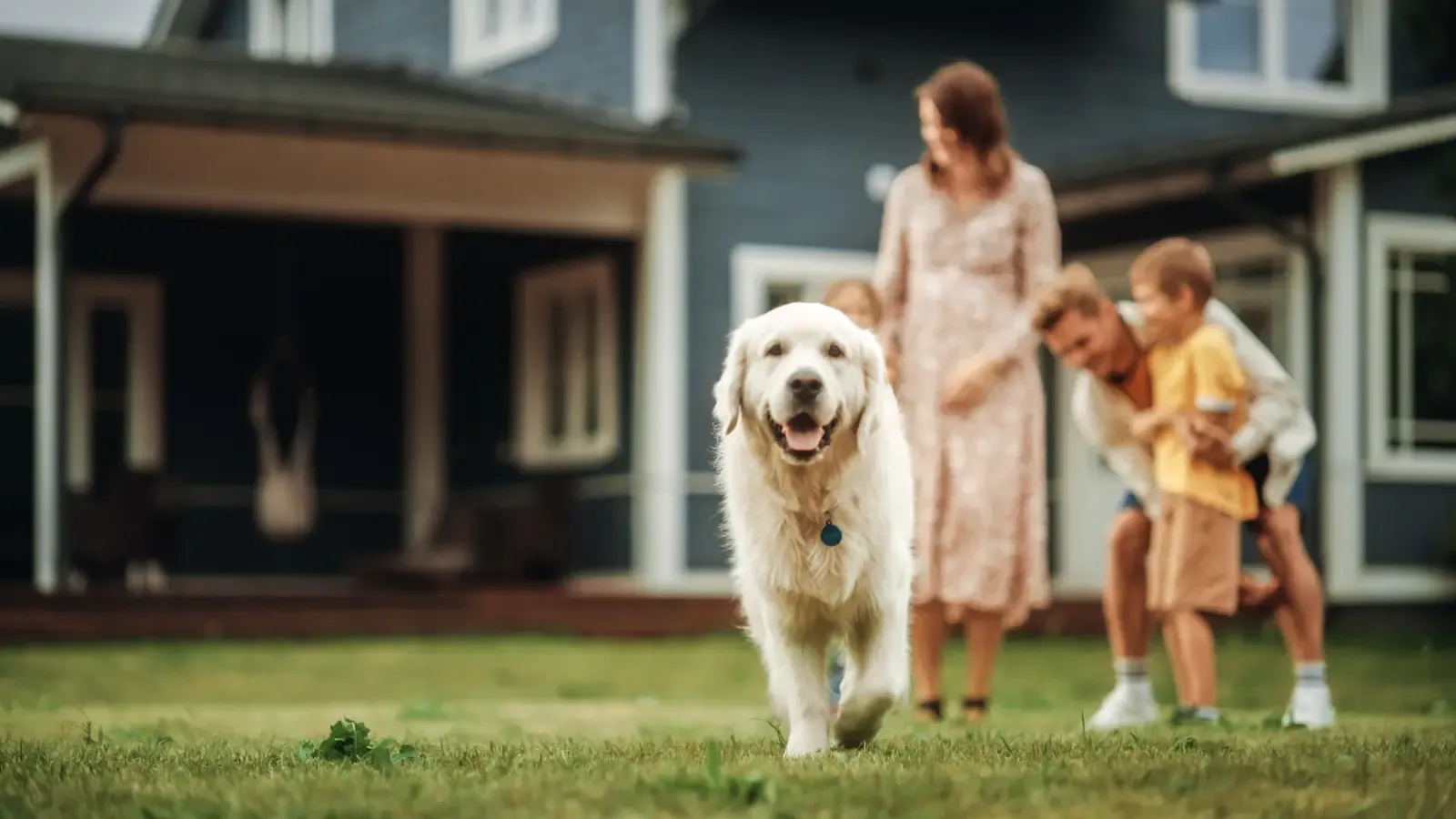 family and dog in yard