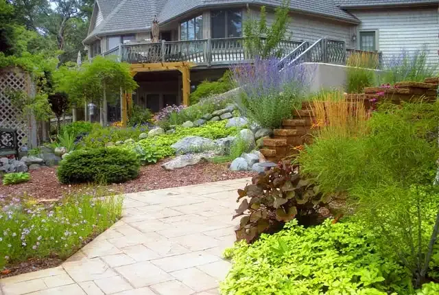 house with beautiful greenery
